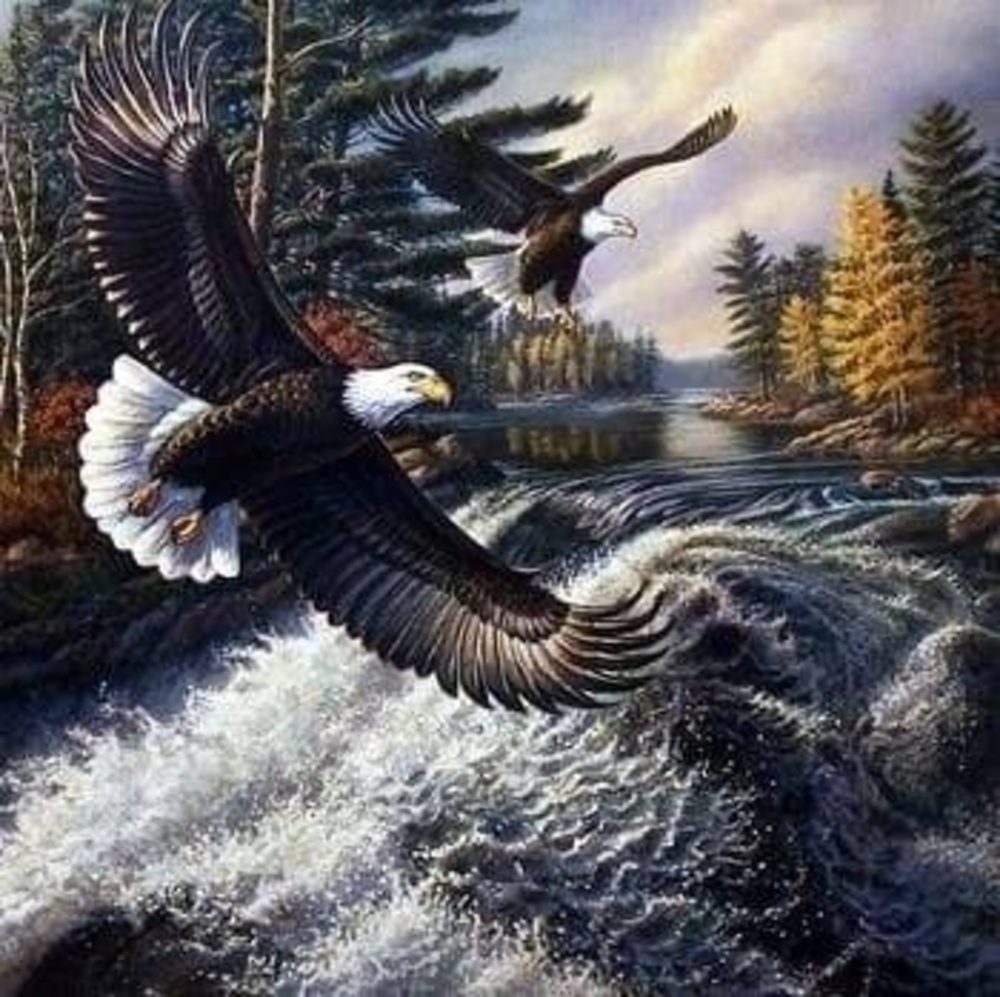 Meet your Posher, Jj